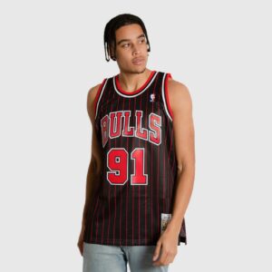 1995-1996-Chicago-Bulls-Dennis-Rodman-91-Swingman-Hardwood-Classic-Pinstripe-Jersey-1-300x300
