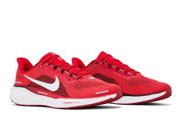 Krossovki-Nike-Air-Zoom-Pegasus-41-Georgia-2024-7