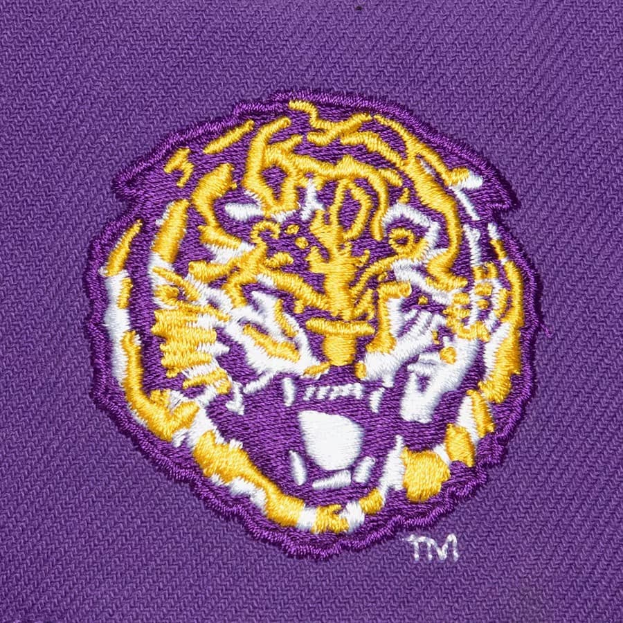 Бейсболка Mitchell & Ness Purple LSU Tigers Just Don Team Snapback Hat