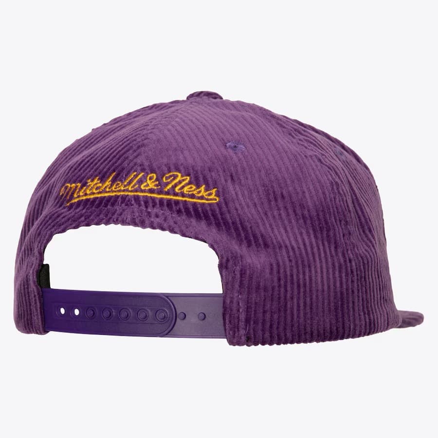 Бейсболка Mitchell & Ness Purple Toronto Raptors Hardwood Classics Levelz Snapback Hat
