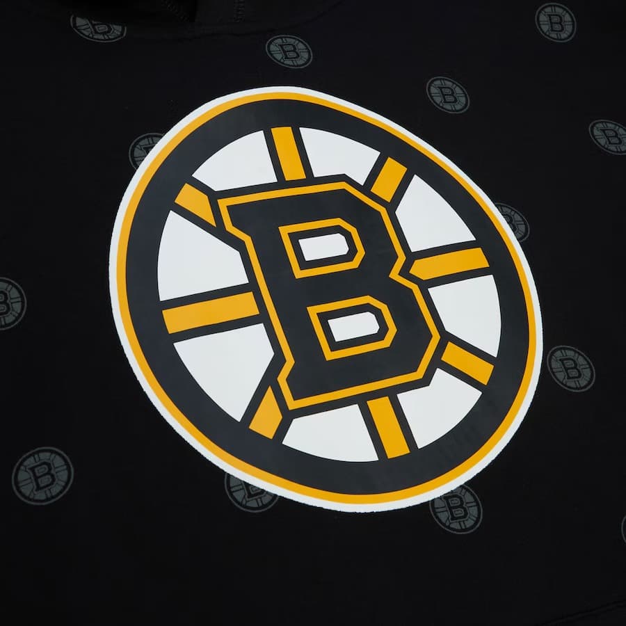 Худи Mitchell & Ness Black Boston Bruins Allover Print Fleece Pullover Hoodie