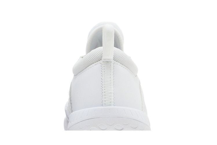 Кроссовки Wmns NikeCourt Zoom NXT 'White Metallic Silver'