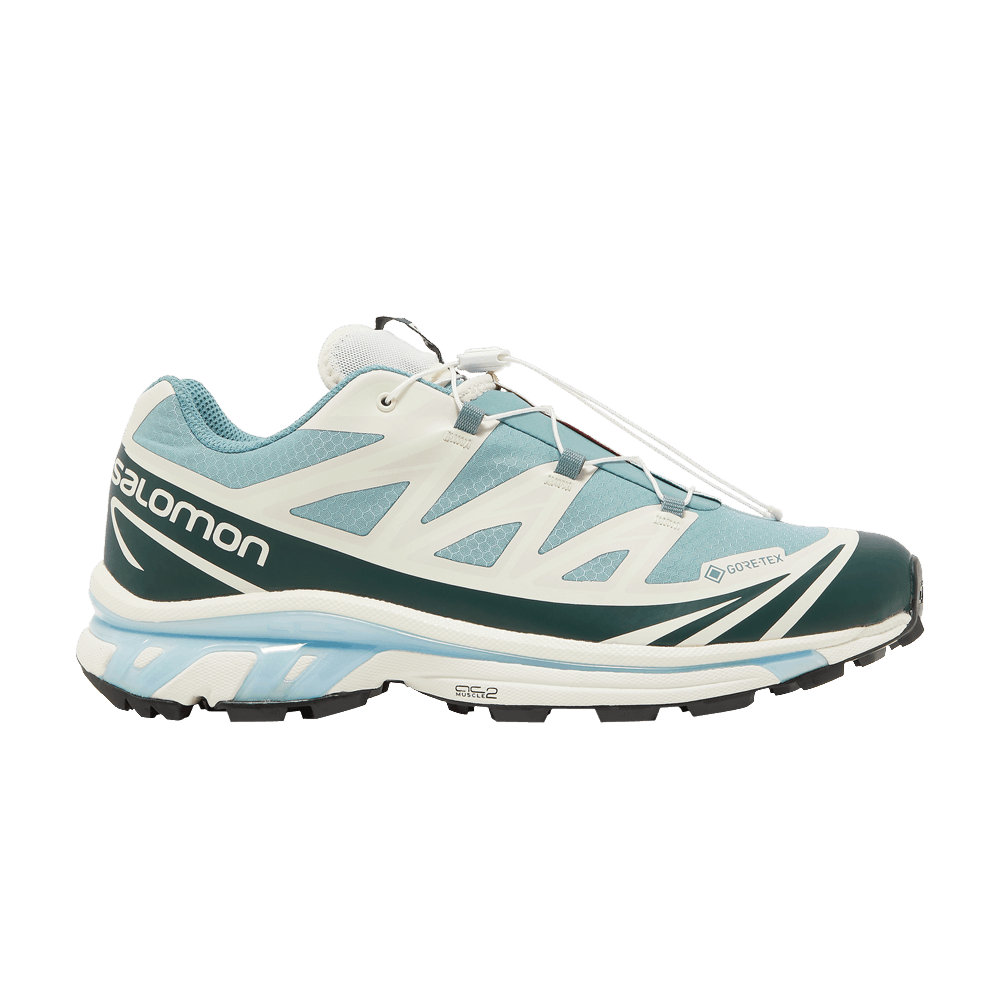 Кроссовки Salomon Kith x XT-6 GORE-TEX 'Trellis Ponderosa Pine'