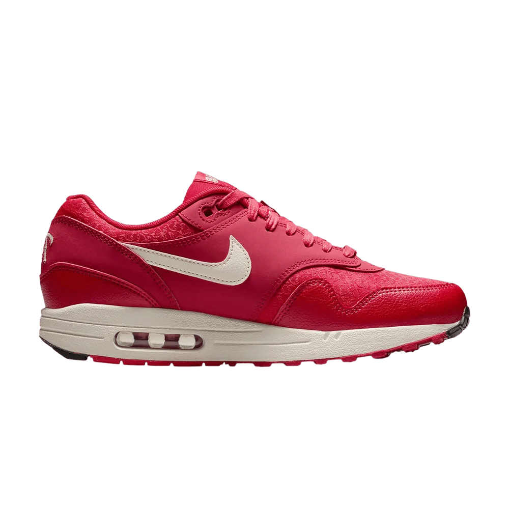 Krossovki-Nike-Air-Max-1-City-Connect-Pack-Rangers