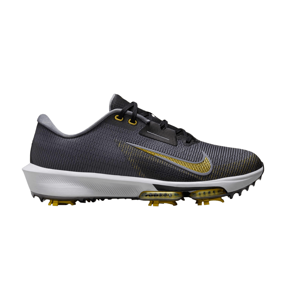 Кроссовки Nike Air Zoom Infinity Tour 2 Golf Wide 'Black Infinite Gold'