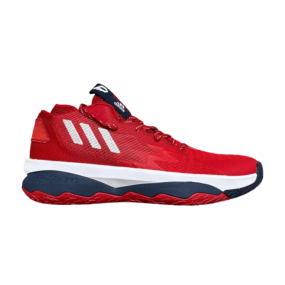 Krossovki-Adidas-Dame-8-Team-USA