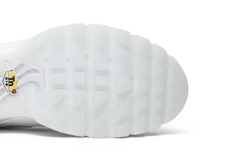 Кроссовки Nike Air Max Plus 'International Flag'