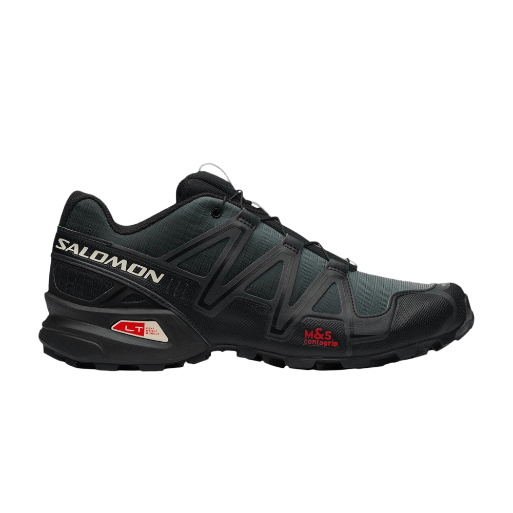 Кроссовки Salomon Speedcross 3 'Dual Aura'
