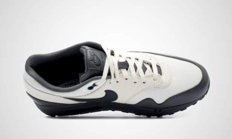 Кроссовки Nike Air Max 1 Premium 'Sail Dark Obsidian'