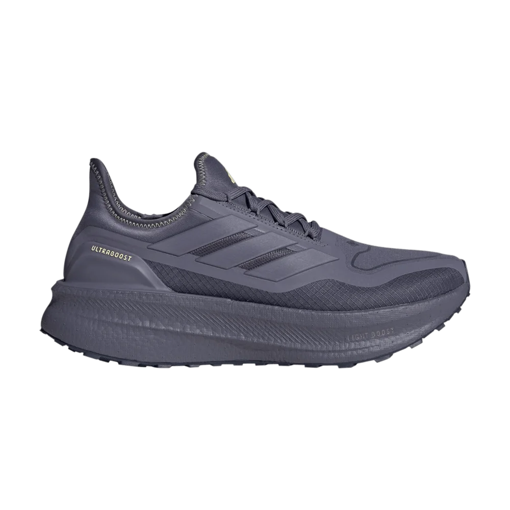 Кроссовки Adidas Ultraboost 5 GOR-TEX 'Violet Shadow Navy'