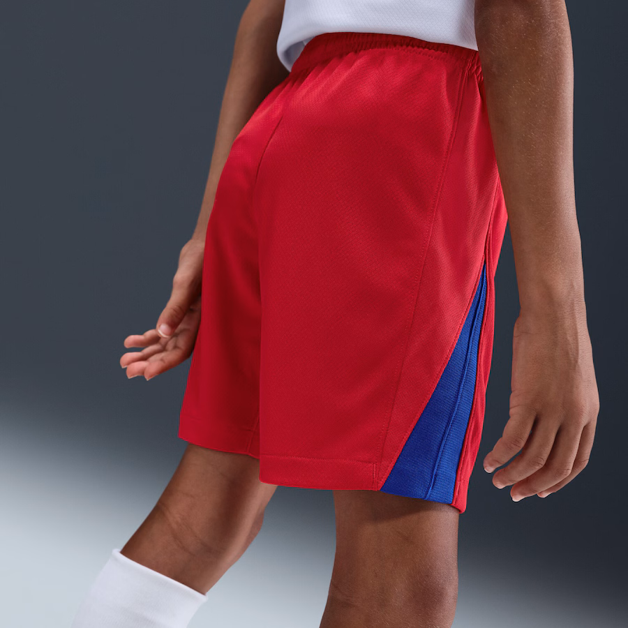 Детские футбольные шорты PSG Nike Third Stadium Shorts 2025-26
