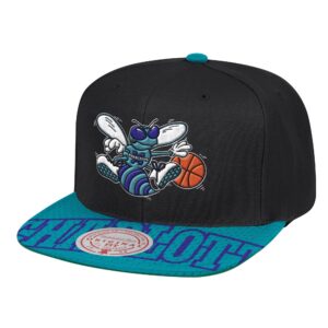 Mitchell-Ness-Snapshot-Snapback-HWC-Charlotte-Hornets-Hat-300x300