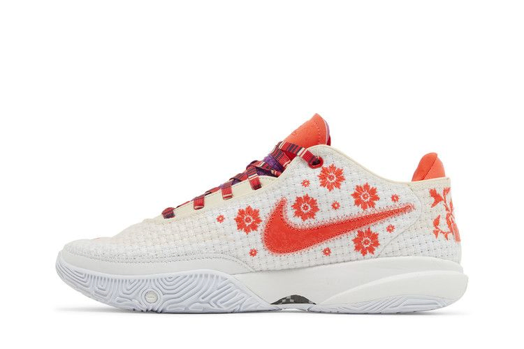 Кроссовки Mimi Plange x Nike LeBron 20 Premium 'Ceremony'