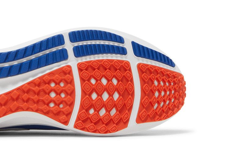 Кроссовки Nike Air Zoom Pegasus 39 'Florida Gators'