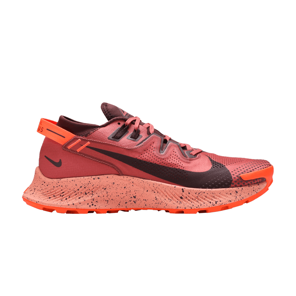 Кроссовки Nike Pegasus Trail 2 'Canyon Rust'