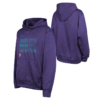Nike-Charlotte-Hornets-NBA-Youth-Nike-Spotlight-Dri-Fit-Hoodie-1-100x100