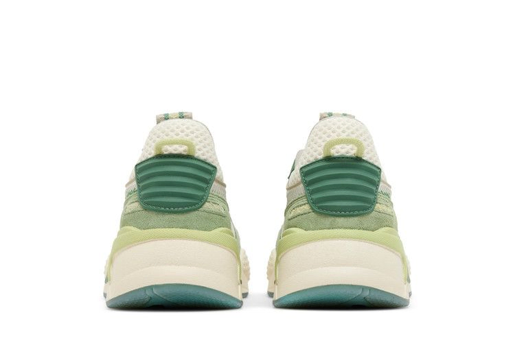 wmns-rs-x-landscape-pack-amazonas-400521-01_05