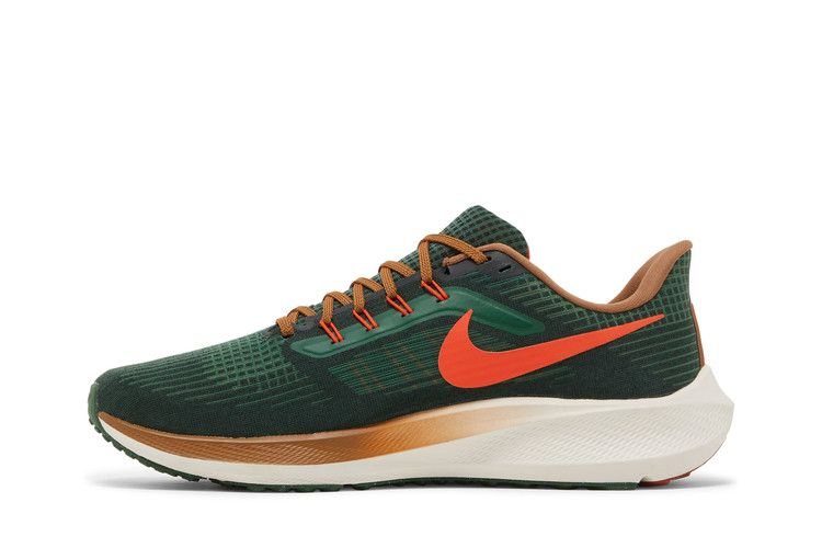 Кроссовки Hola Lou x Nike Air Zoom Pegasus 39 'A.I.R.'