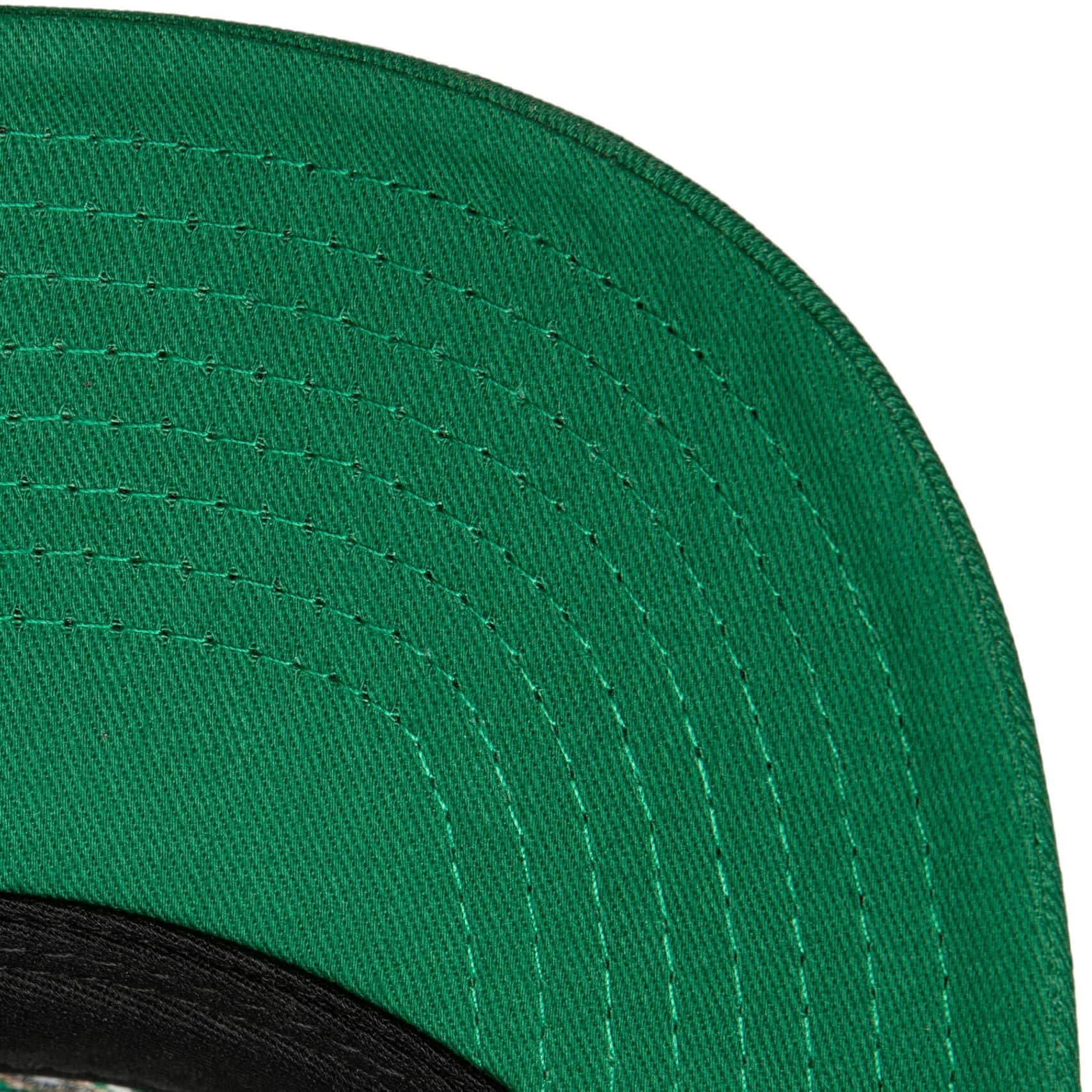 Team-Seal-Trucker-Snapback-Boston-Celtics-Hat-3