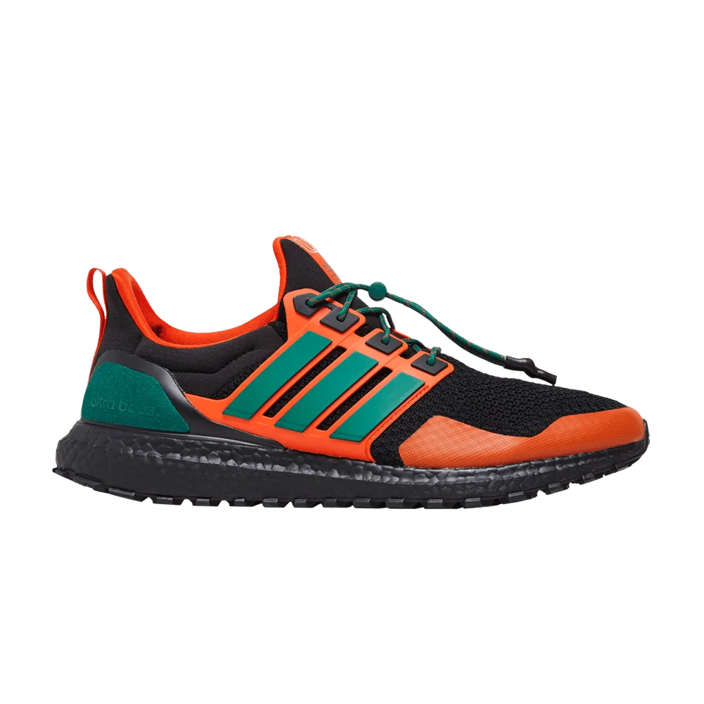 Krossovki-adidas-UltraBoost-1.0-NCAA-Pack-Miami