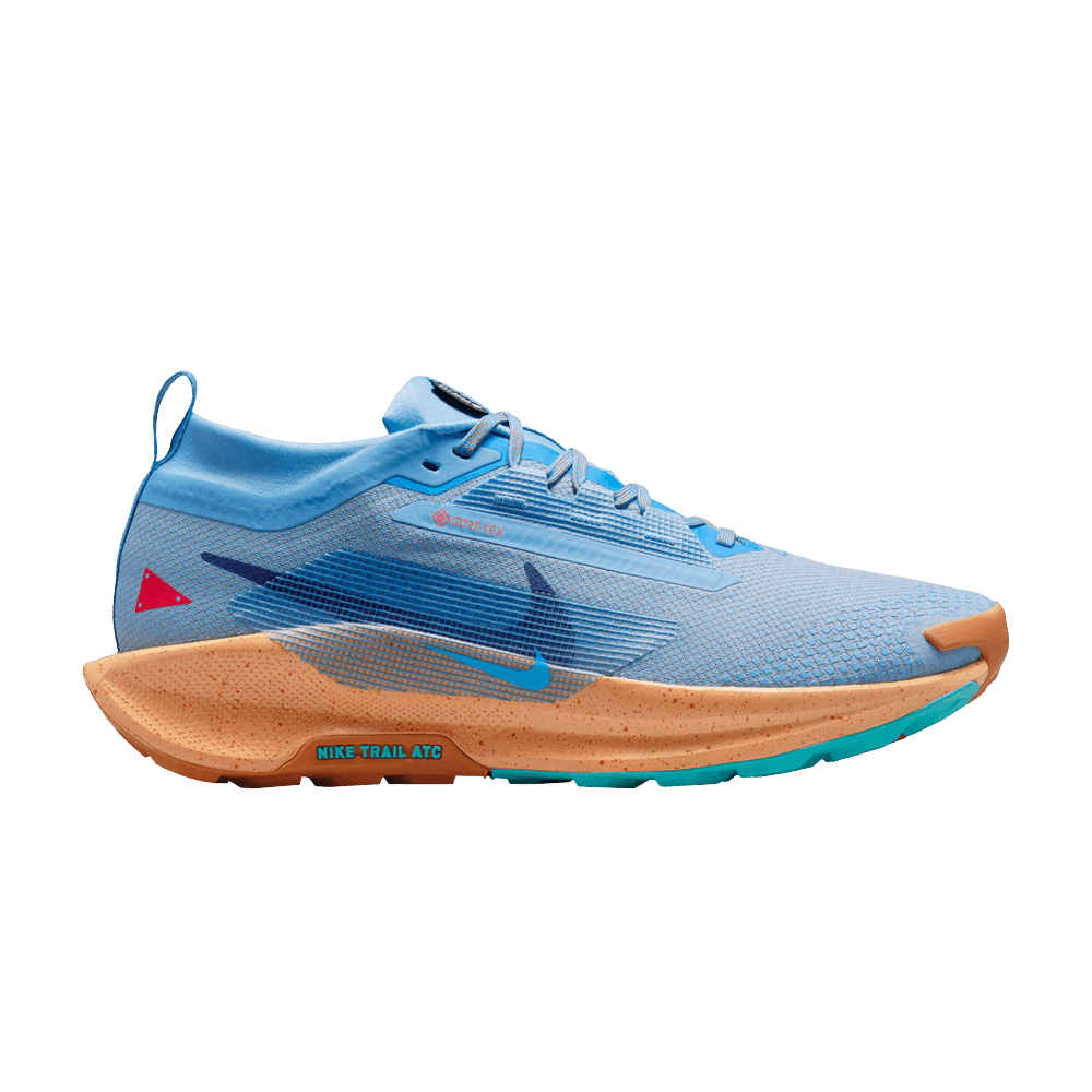 Кроссовки Nike Pegasus Trail 5 GORE-TEX 'Blue Beyond Copper Moon'