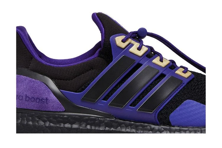 Krossovki-Adidas-UltraBoost-1.0-NCAA-Pack-Washington-1