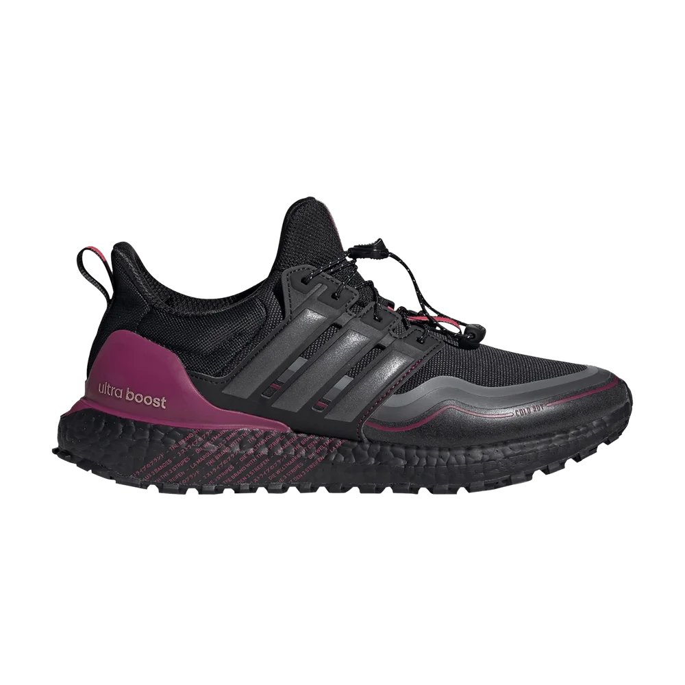 Krossovki-adidas-UltraBoost-Cold.RDY-DNA-Black-Purple