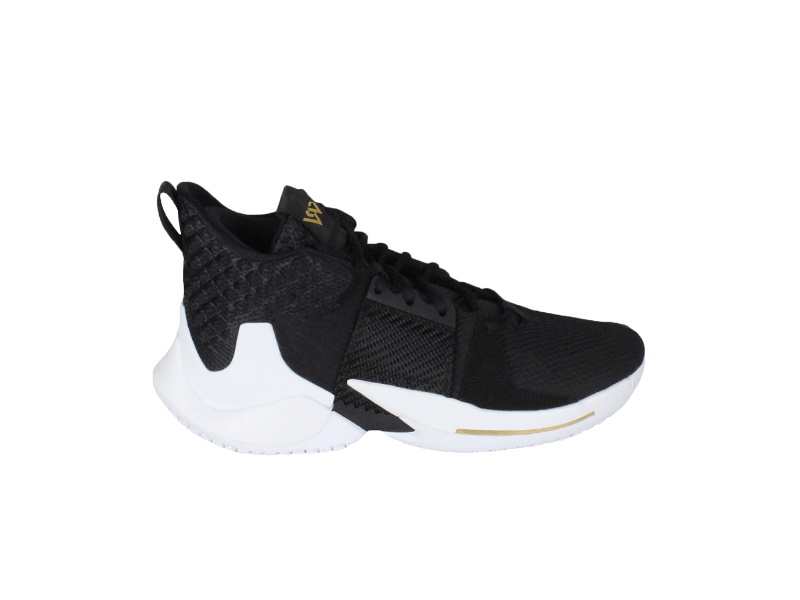 Кроссовки Air Jordan Why Not Zer0.2 PF 'The Family'