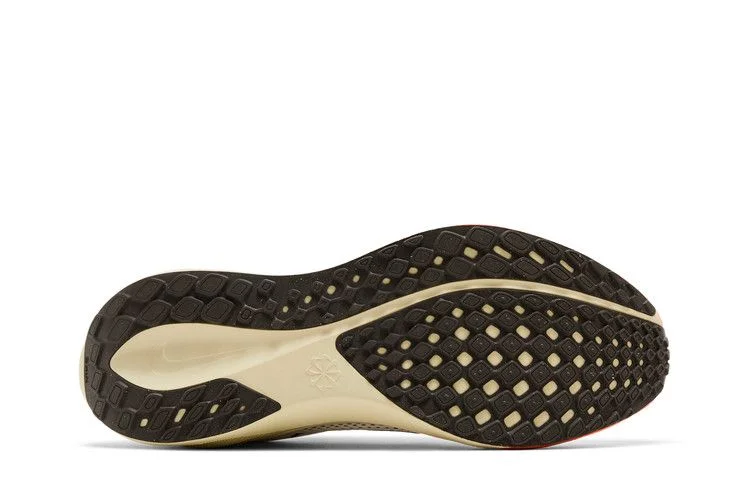 Кроссовки Nike Air Zoom Pegasus 41 'Year of the Snake'