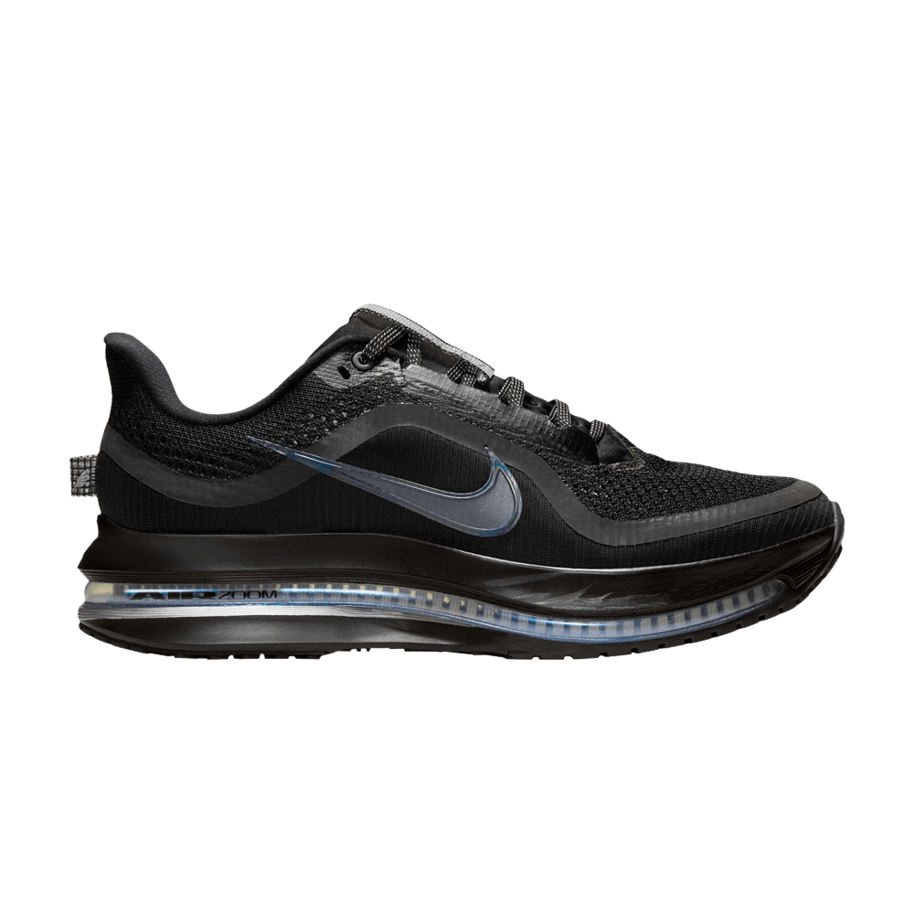 Кроссовки Nike Wmns Pegasus Premium 'Black Metallic Silver'