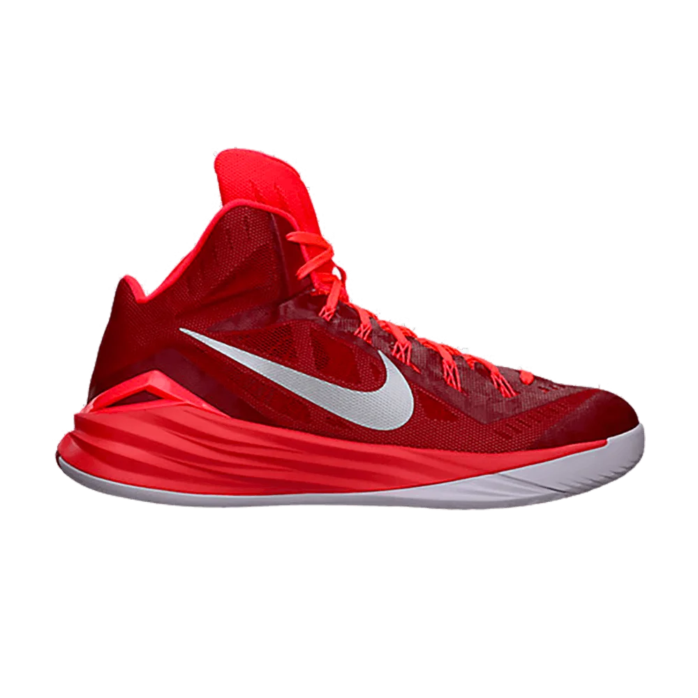 Krossovki-Nike-Hyperdunk-2014-TB-1