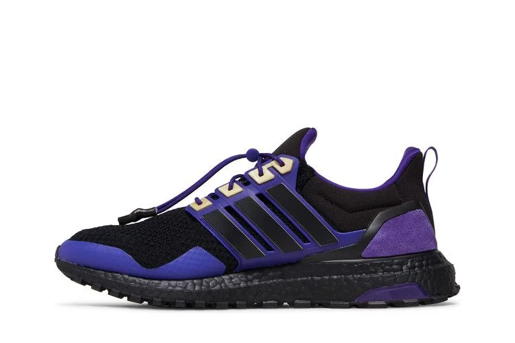Krossovki-Adidas-UltraBoost-1.0-NCAA-Pack-Washington-2