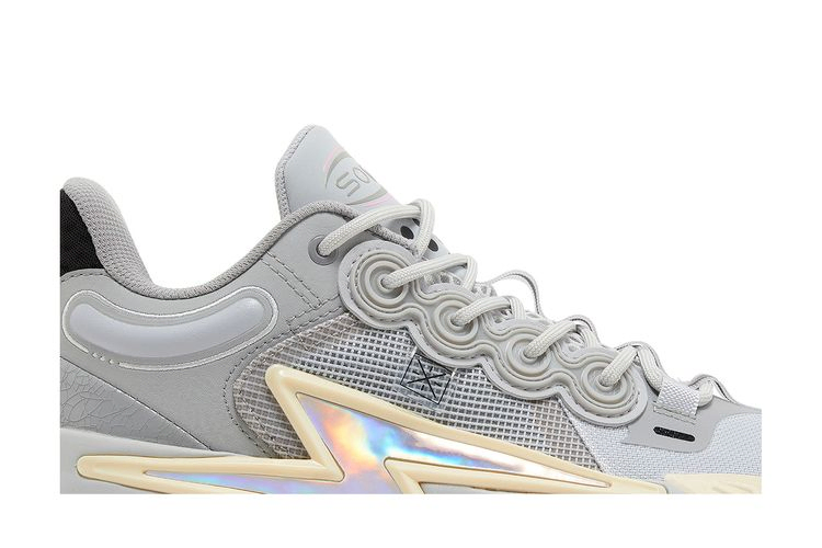 wade-son-of-flash-grey-boy-abpt019-8_01