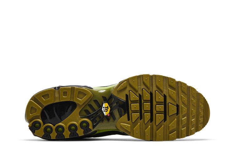 Кроссовки Nike Air Max Plus 'Pacific Moss'