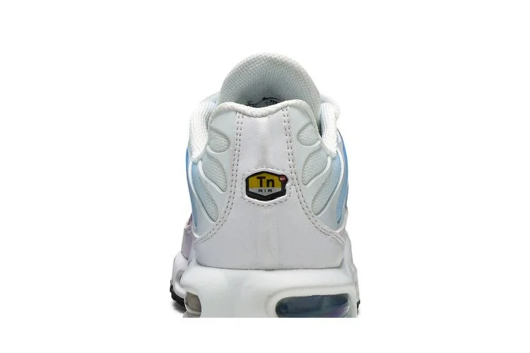 Кроссовки Nike Wmns Air Max Plus 'Summer Gradient'