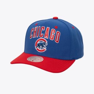 Mitchell-Ness-Royal-Chicago-Cubs-All-In-2.0-Pro-Crown-Snapback-Hat-300x300