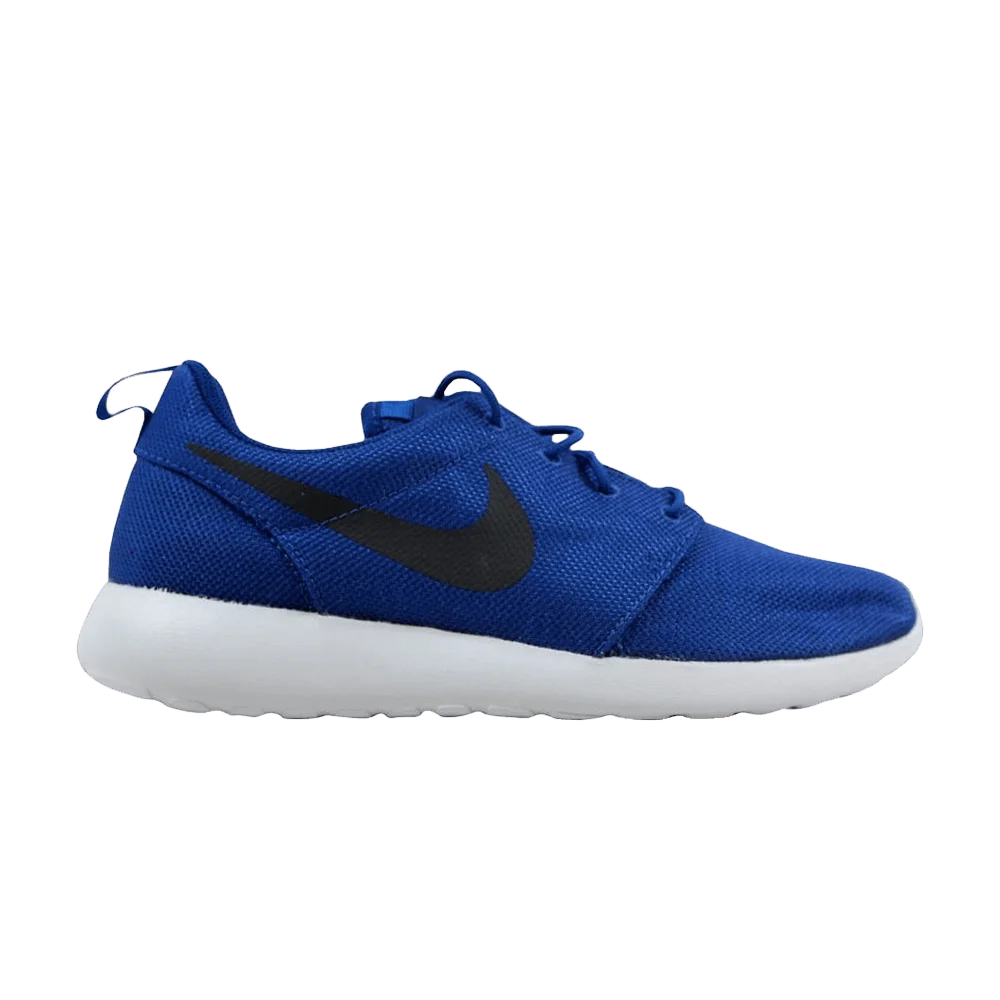 Krossovki-Nike-Roshe-One-Gym-Blue