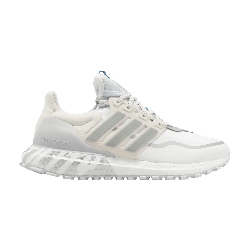 Кроссовки Adidas UltraBoost All Terrain 'White Silver Sky'