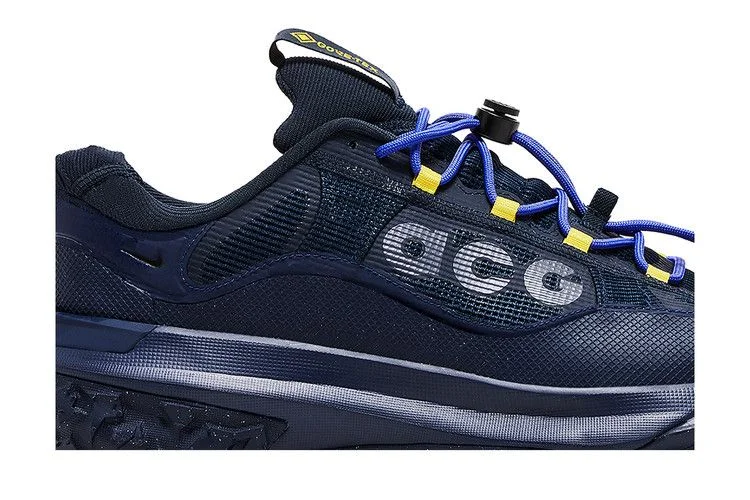 Кроссовки Nike ACG Mountain Fly 2 Low GORE-TEX 'Midnight Navy'