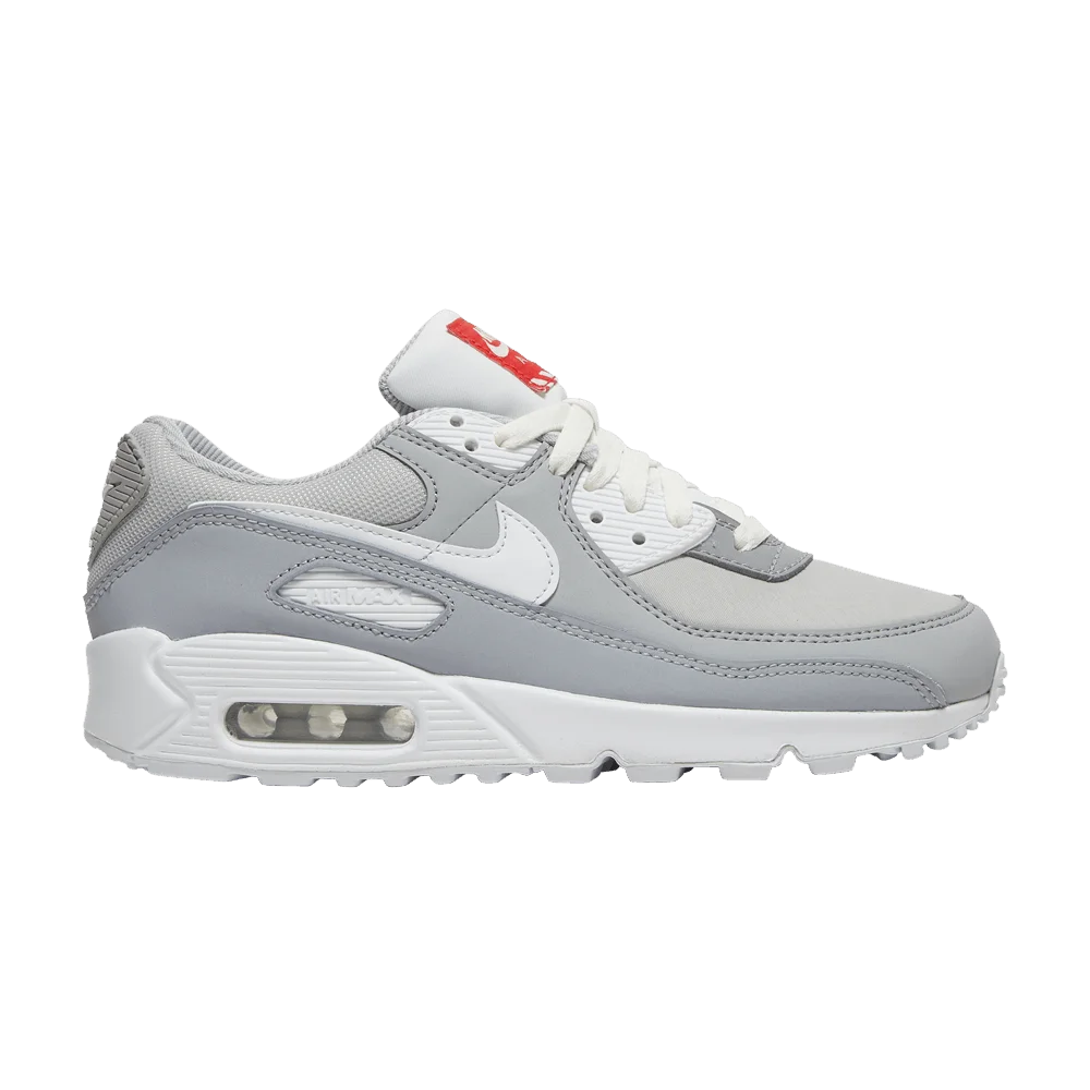 Кроссовки Nike Wmns Air Max 90 'Light Smoke Grey'