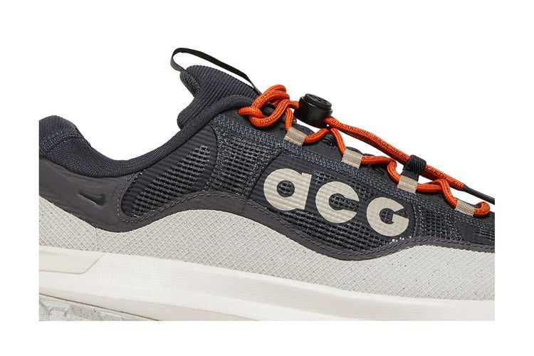 Кроссовки Nike ACG Mountain Fly 2 Low GORE-TEX 'Dark Smoke Grey'