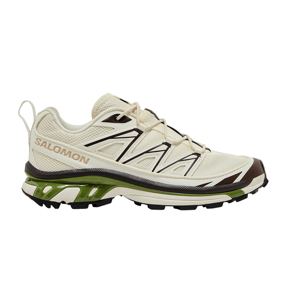 Кроссовки Salomon XT-6 Expanse 'Vanilla Ice Black Coffee'