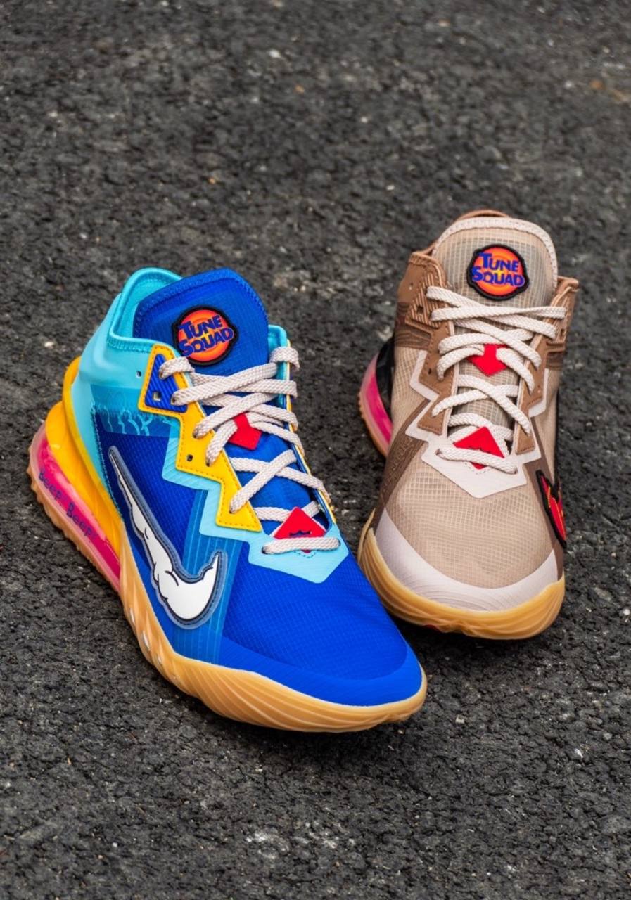Кроссовки Space Jam x Nike LeBron 18 Low GS Wile E. x Roadrunner