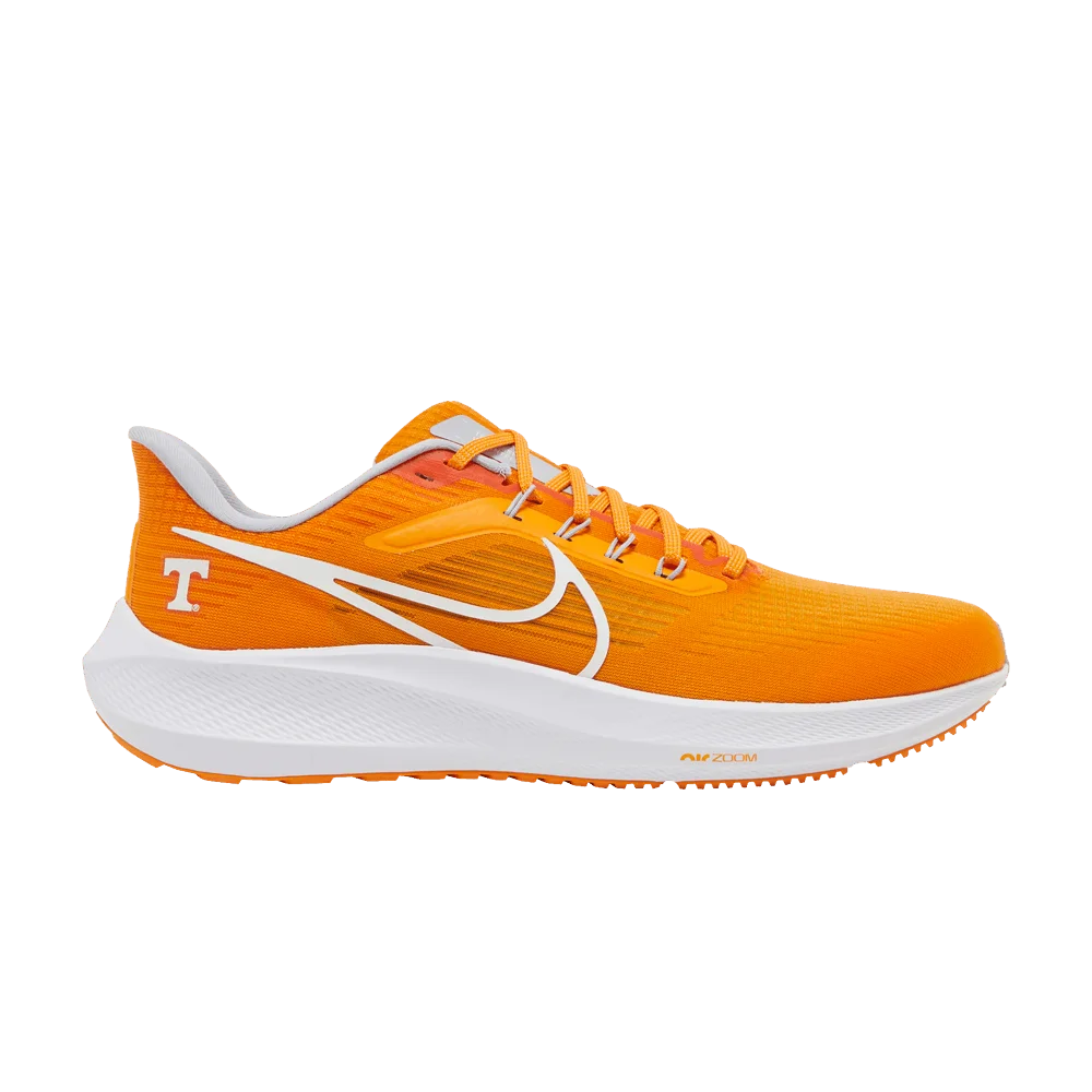 Krossovki-Nike-Air-Zoom-Pegasus-39-Tennessee