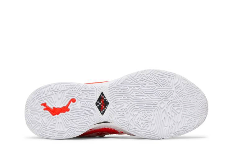 Кроссовки Mimi Plange x Nike LeBron 20 Premium EP 'Ceremony'