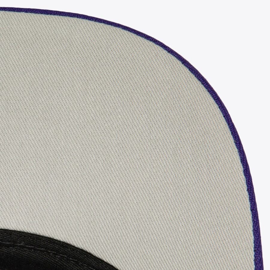 Бейсболка Mitchell & Ness Purple Toronto Raptors Hardwood Classics 1998 Draft Pro Adjustable Hat