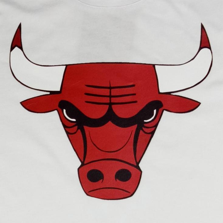 Футболка 2017 Chicago Bulls Tee by EVISU