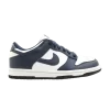 w-s-dunk-low-cl-317815-141-100x100