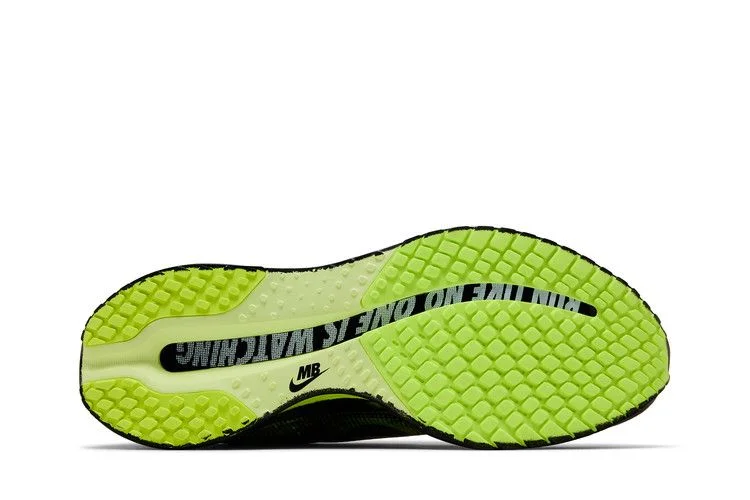 Krossovki-Melitta-Baumeister-x-Nike-Wmns-Pegasus-Premium-Volt-3