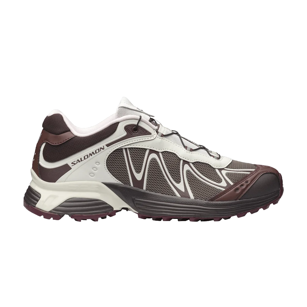 Krossovki-Salomon-XT-Whisper-Walnut-Vanila